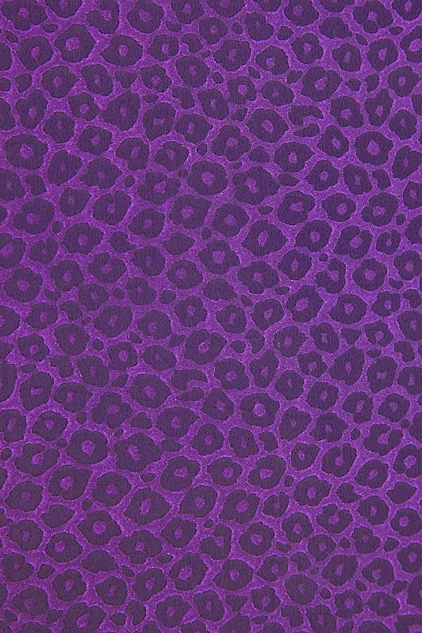 фиолетовый леопард